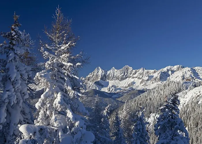 Alpenblick * 람자우 암 다흐스타인